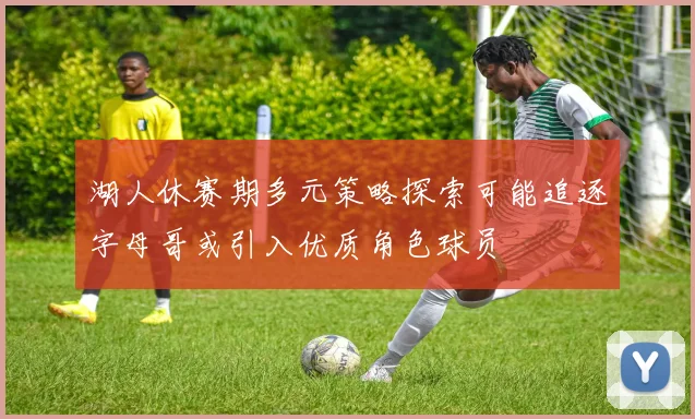 湖人休赛期多元策略探索可能追逐字母哥或引入优质角色球员