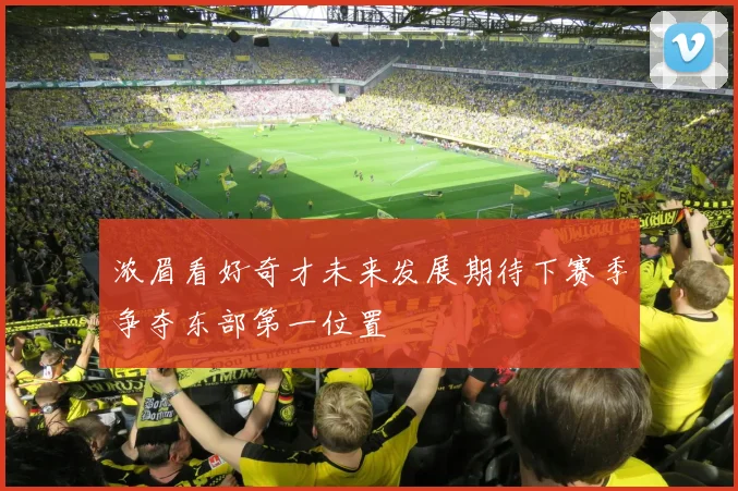 浓眉看好奇才未来发展期待下赛季争夺东部第一位置